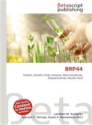 BRP44,613520758X,9786135207583