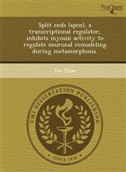 Split ends (spen), a transcriptional regulator, inhibits myosin activity to regulate neuronal remodeling during metamorphosis.,1249066662,9781249066668