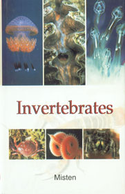 Invertebrates 1st Edition,8178901919,9788178901916