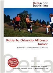 Roberto Orlando Affonso Júnior,613549838X,9786135498387