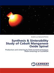 Synthesis & Sinterability Study of Cobalt Manganese Oxide Spinel,3848443902,9783848443901