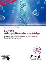 Sulfate Adenylyltransferase (Adp),6139365031,9786139365036