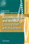 Recombination and Meiosis Crossing-Over and Disjunction 1st Edition,3540753710,9783540753711