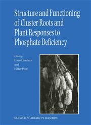 Structure and Functioning of Cluster Roots and Plant Responses to Phosphate Deficiency 1st Edition,1402004346,9781402004346
