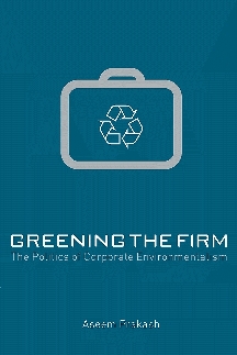 Greening the Firm The Politics of Corporate Environmentalism,052166487X,9780521664875