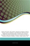 Articles On Biota Of Egypt, including Greater Flamingo, White Stork, Lesser Flamingo, Cirl Bunting, Moustached Warbler, African Silverbill, Steppe Eagle, House Bunting, Graceful Prinia, Goliath Heron, Red Munia, Crimson-rumped Waxbill,1244774855,9781244774858