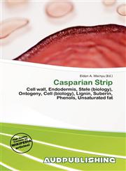 Casparian Strip,6135898868,9786135898866