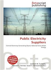 Public Electricity Suppliers,6134757624,9786134757621