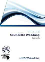 Splendrillia Woodringi,613858998X,9786138589983