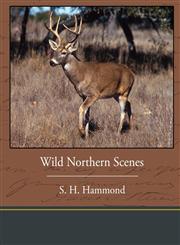 Wild Northern Scenes,1438535783,9781438535784