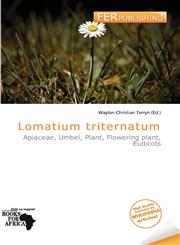 Lomatium triternatum,6138494202,9786138494201