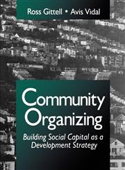 Community Organizing Building Social Capital as a Development Strategy,0803957920,9780803957923