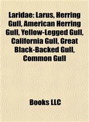 Laridae Larus, Herring Gull, American Herring Gull, Yellow-Legged Gull, California Gull, Great Black-Backed Gull, Common Gull,1157867820,9781157867821