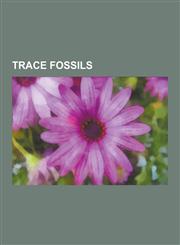 Trace Fossils Anatrisauropus, Ancorichnus, Apatopus, Arenicolites, Asteriacites, Asterosoma, Atreipus, Bauruoolithus, Beaconella, Be,1230587403,9781230587400