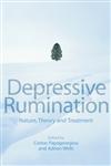 Depressive Rumination: Nature, Theory and Treatment,0471486930,9780471486930