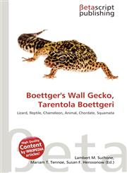 Boettger's Wall Gecko, Tarentola Boettgeri,6135264044,9786135264043