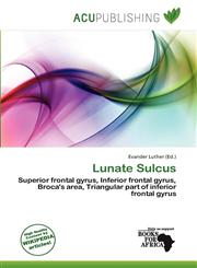 Lunate Sulcus,6200073562,9786200073563