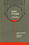 Asian Crucible The Steel Industry in China and India 1st Edition,0803994141,9780803994140