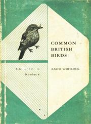 Common British Birds