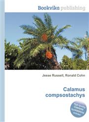 Calamus Compsostachys,5512216325,9785512216323