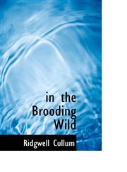 in the Brooding Wild,1110910940,9781110910946
