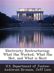 Electricity Restructuring What Has Worked, What Has Not, and What Is Next,1289060894,9781289060893