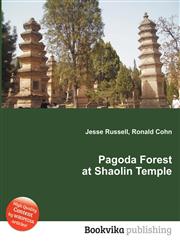 Pagoda Forest at Shaolin Temple,5511653047,9785511653044