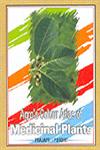Agro's Colour Atlas of Medicinal Plants 1st Edition,8177541722,9788177541724