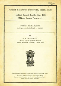 Indian Belladonna : Atropa Acuminata Royle Ex Lindi Reprinted from the Indian Forester - Vol. 79, No. 1