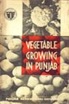 Vegetable Growing in Punjab