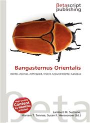 Bangasternus Orientalis,6135151258,9786135151251