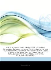 Articles On Central Nervous System Pathways, including Mesolimbic Pathway, Internal Capsule, Corticospinal Tract, Spinothalamic Tract, Posterior Column-medial Lemniscus Pathway, Anterolateral System, Dopaminergic Pathways,1243068973,9781243068972