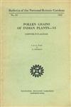 Pollen Grains of Indian Plants - VI Convolvulaceae