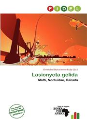 Lasionycta gelida,6138254708,9786138254706