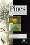 Pines of Silvicultural Importance Compiled from the Forestry Compendium, CAB International,085199539X,9780851995397