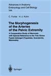 The Morphogenesis of the Arteries of the Pelvic Extremity A Comparative Study of Mammals with Special Reference to the Tree Shrew Tupaia belangeri (Tupaiidae, Scandentia, Mammalia) Reprint of the Original 1st Edition,3540647066,9783540647065