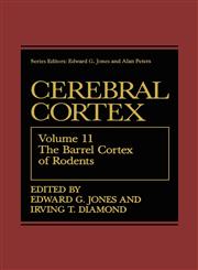 The Barrel Cortex of Rodents,0306448475,9780306448478