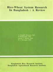 Rice-Wheat System Research In Bangladesh : A Review 1st Edition