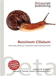 Buccinum Ciliatum,6136171082,9786136171081