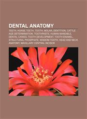Dental anatomy Teeth, Horse teeth, Tooth, Molar, Dentition, Cattle age determination, Toothpaste, Human mandible, Dental caries,1156698685,9781156698686