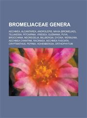 Bromeliaceae Genera Tillandsia, Pitcairnia, Vriesea, Guzmania, Puya, Brocchinia, Neoregelia, Billbergia, Dyckia, Werauhia, Racinaea, Navia,1155973070,9781155973074