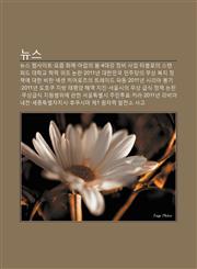 Nyuseu Nyuseu Websaiteu, Yojeum Hwaje, Alab-Ui Bom, 4Daegang Jeongbi Sa-Eob, Tabeulloui Seutaenpeodeu Daehaggyo Haglyeog Wijo Nonlan,1233929178,9781233929177