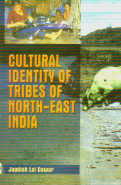 Cultural Identity of Tribes of North-East India Movement for Cultural Identity Among the Adis of Arunachal Pradesh 1st Edition,8171697577,9788171697571