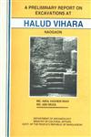 A Preliminary Report on Excavations at Halud Vihara Naogaon 1st Edition,9843112547,9789843112545