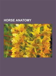 Horse Anatomy Horse Teeth, Spleen, Equine Conformation, Equine Anatomy, Skeletal System of the Horse, Equine Vision, Muscular System,1230503692,9781230503691