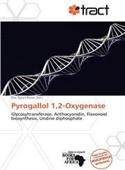 Pyrogallol 1,2-Oxygenase,613936809X,9786139368099