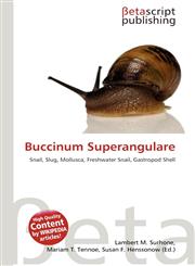 Buccinum Superangulare,6136178826,9786136178820