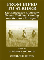 From Biped to Strider The Emergence of Modern Human Walking, Running, and Resource Transport,0306479990,9780306479991