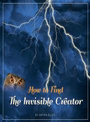 How to Find The Invisible Creator,1770978666,9781770978669