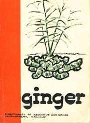 Ginger
